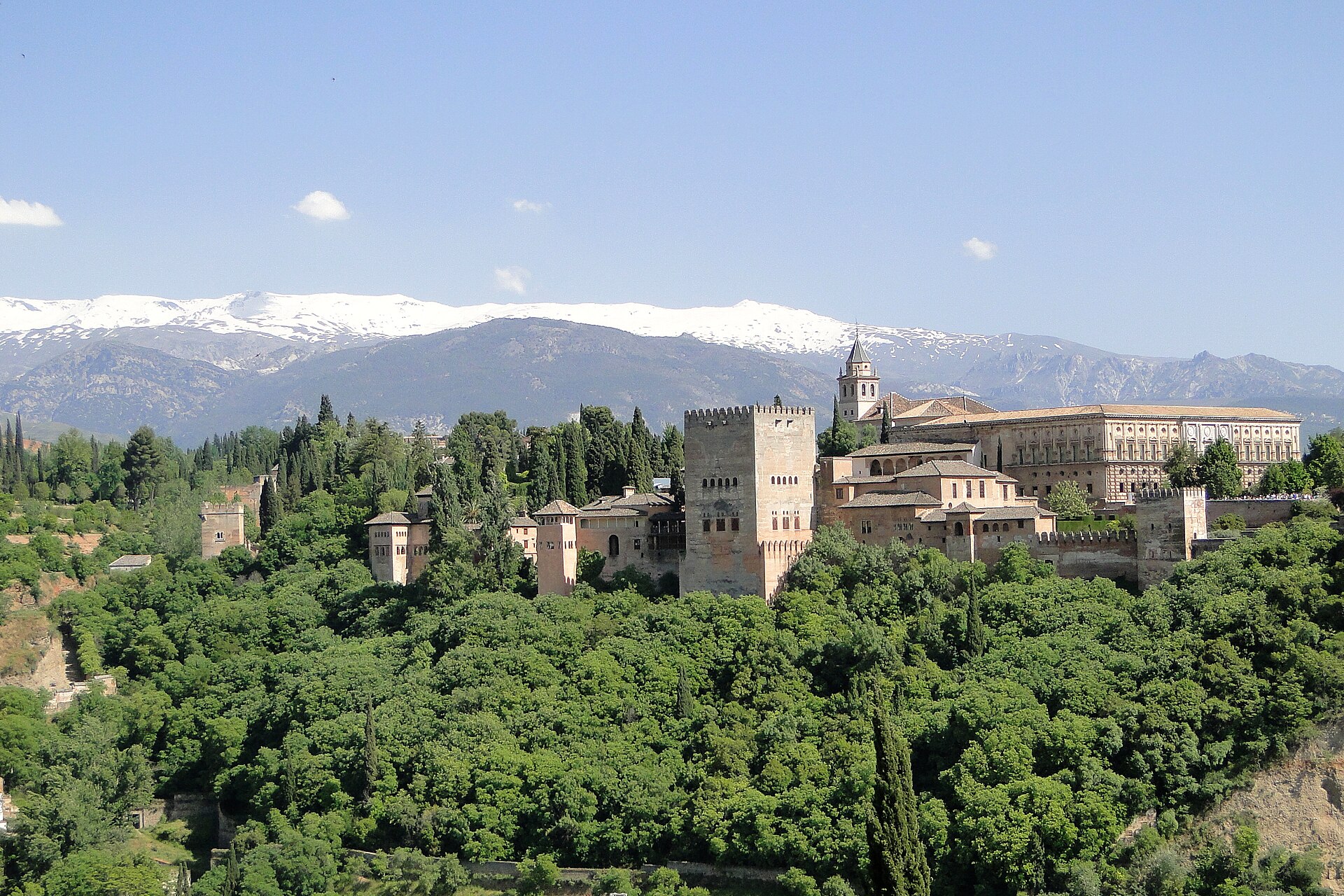 La Alhambra sobre su colina arbolada, con Sierra Nevada nevada detrás