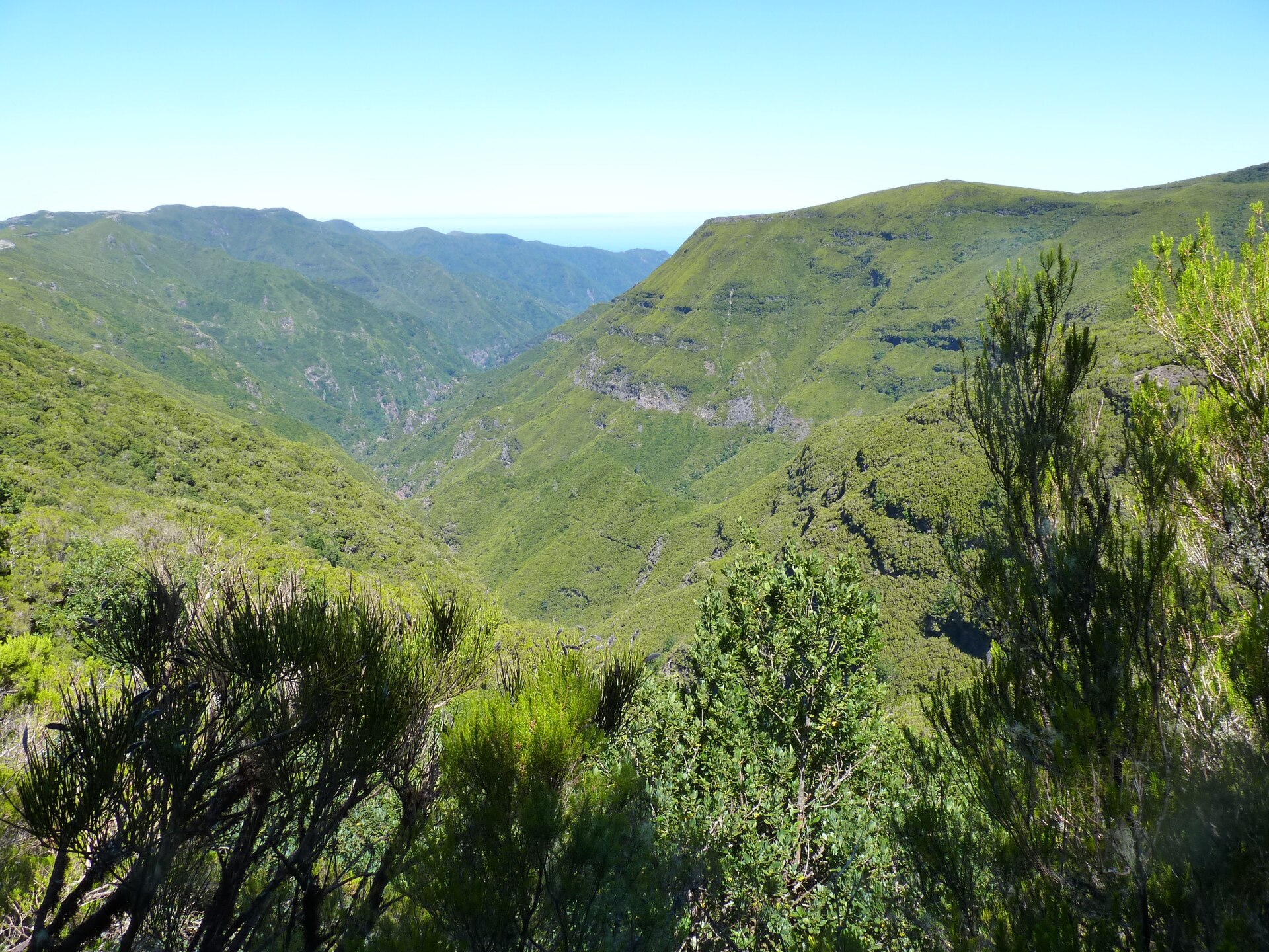 Valles verdes cubiertos de bosque de laurisilva en Madeira bajo un cielo azul