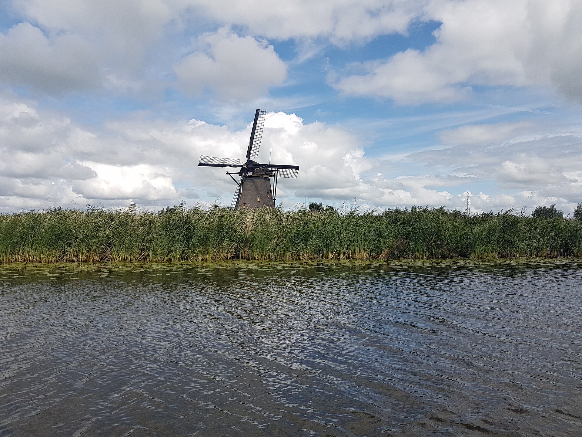 Un molino tradicional junto al agua y los juncos en Kinderdijk, cerca de Róterdam