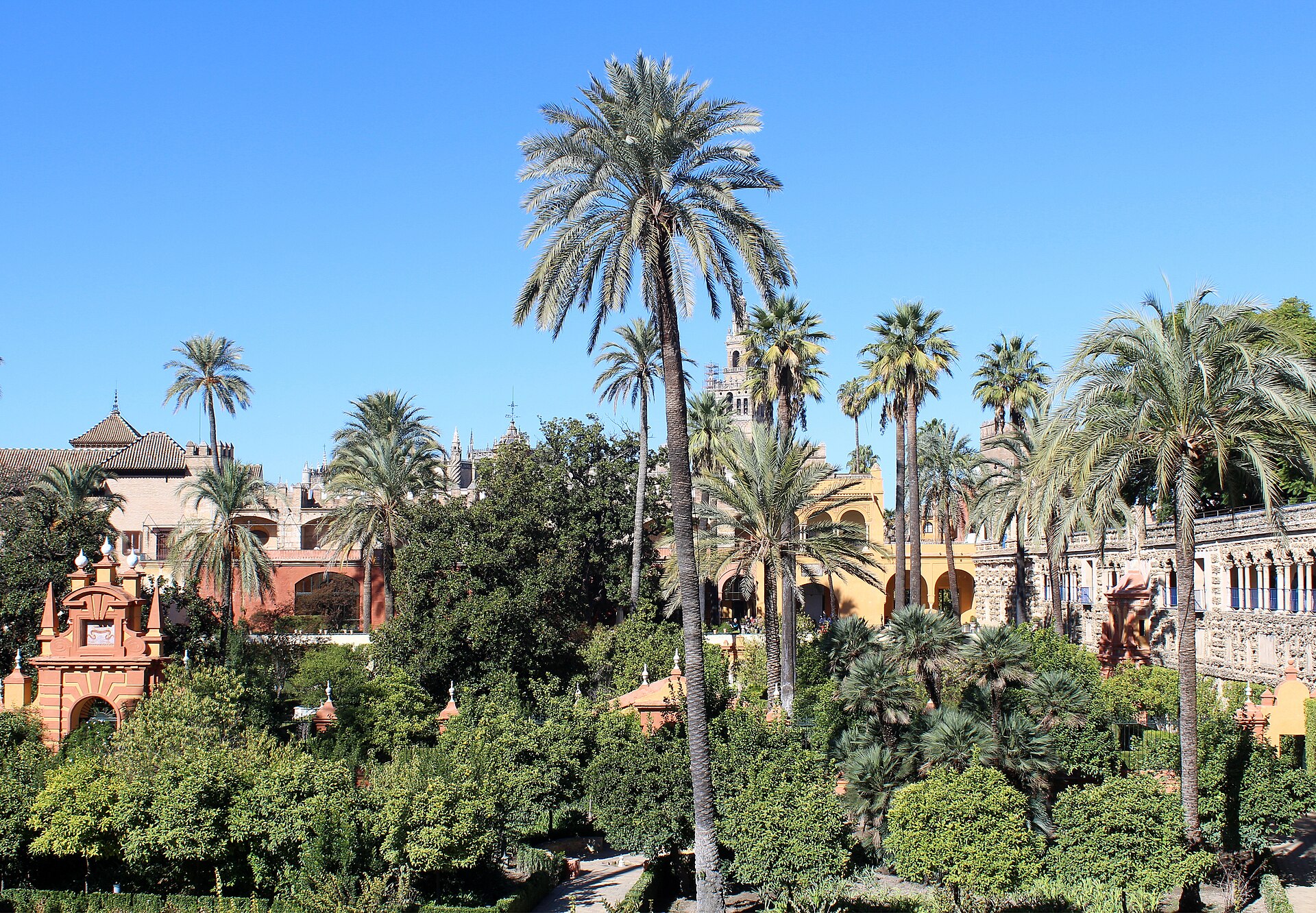 Palmeras y jardines del Real Alcázar de Sevilla